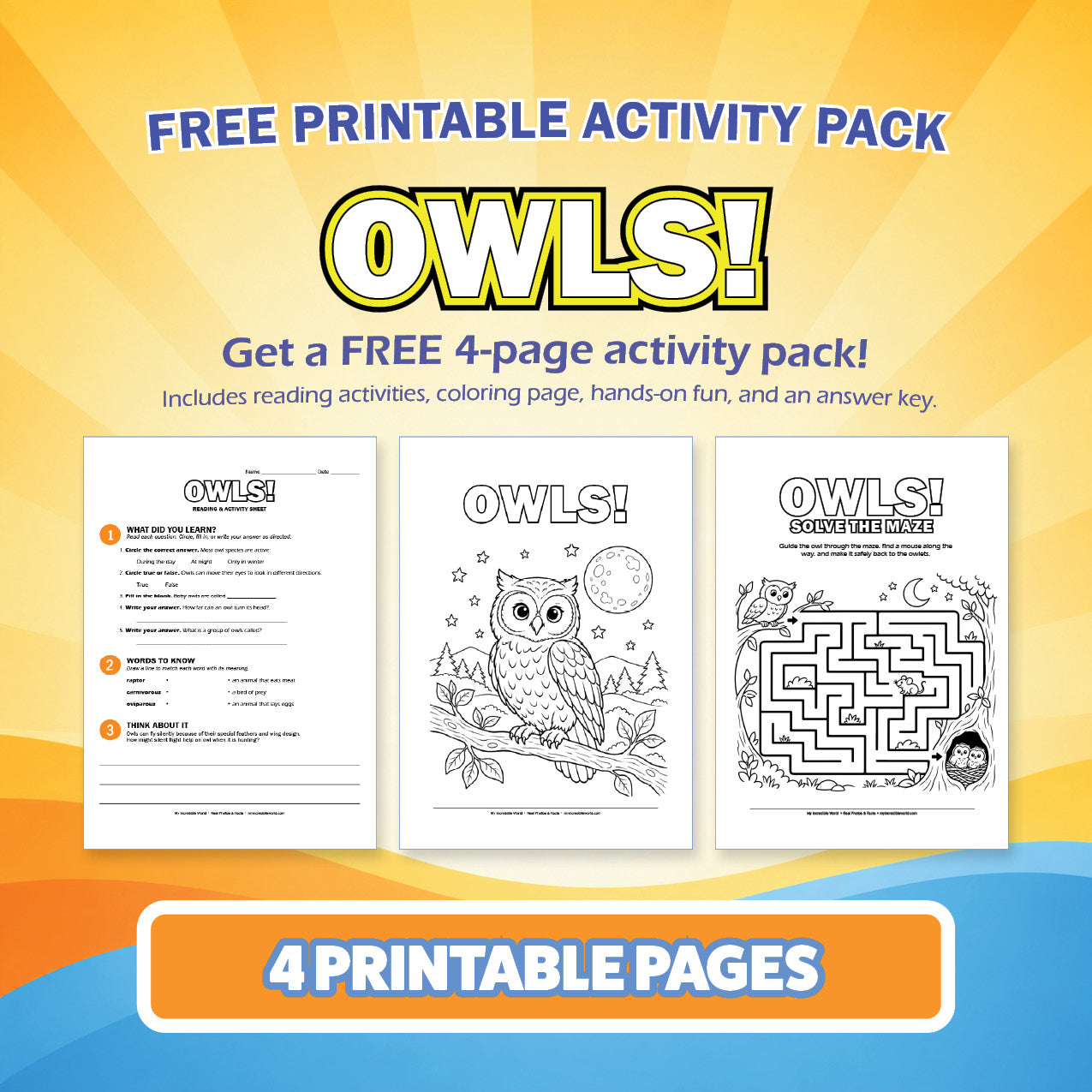 Free Owls Printable Activity Pack for Kids